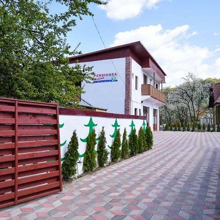Pensiunea Cristina Viseu de Sus Ngoại thất bức ảnh