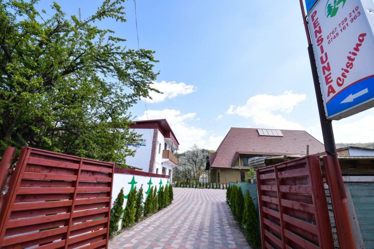 Pensiunea Cristina Viseu de Sus Ngoại thất bức ảnh