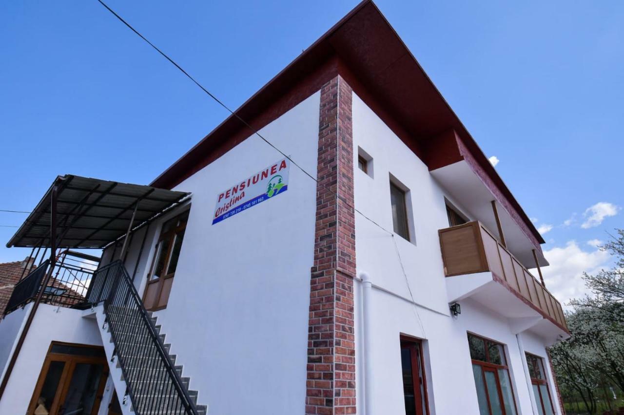 Pensiunea Cristina Viseu de Sus Ngoại thất bức ảnh