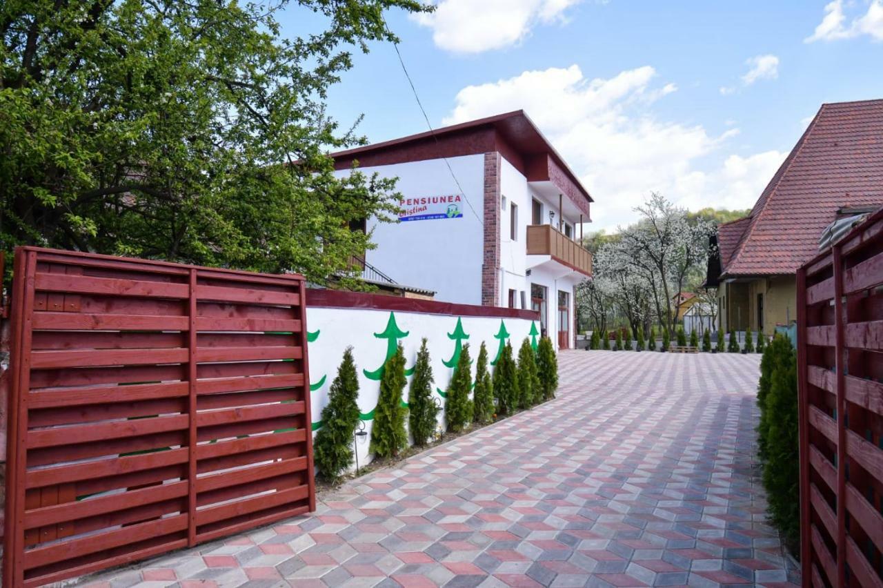 Pensiunea Cristina Viseu de Sus Ngoại thất bức ảnh